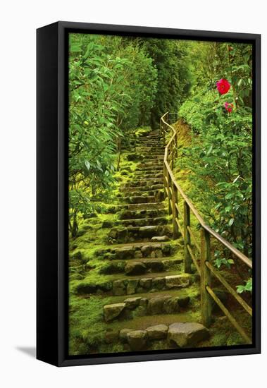 Stairs in Wild Garden, Portland Japanese Garden, Portland, Oregon, Usa-Michel Hersen-Framed Stretched Canvas