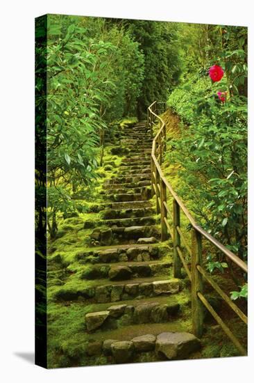 Stairs in Wild Garden, Portland Japanese Garden, Portland, Oregon, Usa-Michel Hersen-Stretched Canvas