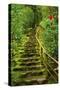 Stairs in Wild Garden, Portland Japanese Garden, Portland, Oregon, Usa-Michel Hersen-Stretched Canvas