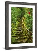 Stairs in Wild Garden, Portland Japanese Garden, Portland, Oregon, Usa-Michel Hersen-Framed Photographic Print