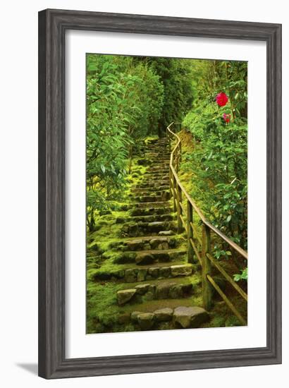 Stairs in Wild Garden, Portland Japanese Garden, Portland, Oregon, Usa-Michel Hersen-Framed Photographic Print