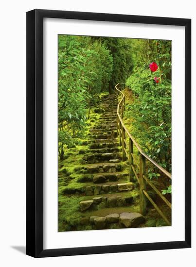 Stairs in Wild Garden, Portland Japanese Garden, Portland, Oregon, Usa-Michel Hersen-Framed Photographic Print