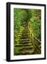 Stairs in Wild Garden, Portland Japanese Garden, Portland, Oregon, Usa-Michel Hersen-Framed Photographic Print