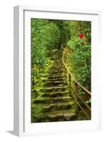 Stairs in Wild Garden, Portland Japanese Garden, Portland, Oregon, Usa-Michel Hersen-Framed Photographic Print