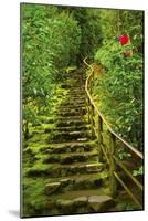 Stairs in Wild Garden, Portland Japanese Garden, Portland, Oregon, Usa-Michel Hersen-Mounted Photographic Print