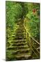 Stairs in Wild Garden, Portland Japanese Garden, Portland, Oregon, Usa-Michel Hersen-Mounted Photographic Print