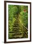 Stairs in Wild Garden, Portland Japanese Garden, Portland, Oregon, Usa-Michel Hersen-Framed Photographic Print