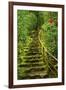 Stairs in Wild Garden, Portland Japanese Garden, Portland, Oregon, Usa-Michel Hersen-Framed Photographic Print