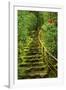 Stairs in Wild Garden, Portland Japanese Garden, Portland, Oregon, Usa-Michel Hersen-Framed Photographic Print