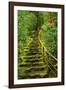 Stairs in Wild Garden, Portland Japanese Garden, Portland, Oregon, Usa-Michel Hersen-Framed Photographic Print