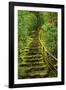 Stairs in Wild Garden, Portland Japanese Garden, Portland, Oregon, Usa-Michel Hersen-Framed Photographic Print