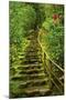 Stairs in Wild Garden, Portland Japanese Garden, Portland, Oregon, Usa-Michel Hersen-Mounted Photographic Print