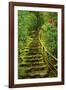 Stairs in Wild Garden, Portland Japanese Garden, Portland, Oregon, Usa-Michel Hersen-Framed Photographic Print