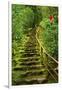 Stairs in Wild Garden, Portland Japanese Garden, Portland, Oregon, Usa-Michel Hersen-Framed Photographic Print