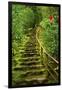 Stairs in Wild Garden, Portland Japanese Garden, Portland, Oregon, Usa-Michel Hersen-Framed Photographic Print