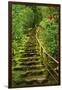 Stairs in Wild Garden, Portland Japanese Garden, Portland, Oregon, Usa-Michel Hersen-Framed Premium Photographic Print