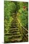 Stairs in Wild Garden, Portland Japanese Garden, Portland, Oregon, Usa-Michel Hersen-Mounted Premium Photographic Print