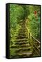 Stairs in Wild Garden, Portland Japanese Garden, Portland, Oregon, Usa-Michel Hersen-Framed Stretched Canvas
