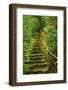 Stairs in Wild Garden, Portland Japanese Garden, Portland, Oregon, Usa-Michel Hersen-Framed Photographic Print