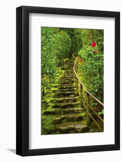 Stairs in Wild Garden, Portland Japanese Garden, Portland, Oregon, Usa-Michel Hersen-Framed Photographic Print