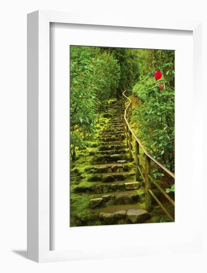 Stairs in Wild Garden, Portland Japanese Garden, Portland, Oregon, Usa-Michel Hersen-Framed Photographic Print