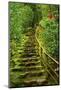 Stairs in Wild Garden, Portland Japanese Garden, Portland, Oregon, Usa-Michel Hersen-Mounted Photographic Print