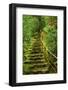 Stairs in Wild Garden, Portland Japanese Garden, Portland, Oregon, Usa-Michel Hersen-Framed Premium Photographic Print