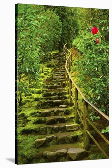 Stairs in Wild Garden, Portland Japanese Garden, Portland, Oregon, Usa-Michel Hersen-Stretched Canvas