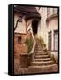 Stairs Leading into a Building, Berkeley, California, USA-Tom Haseltine-Framed Stretched Canvas