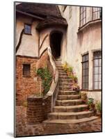 Stairs Leading into a Building, Berkeley, California, USA-Tom Haseltine-Mounted Photographic Print