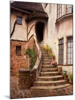 Stairs Leading into a Building, Berkeley, California, USA-Tom Haseltine-Mounted Photographic Print