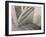 Stairs, Mexico City by Tina Modotti-null-Framed Photographic Print