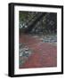 Stairs, Savannah, Georgia, USA-Joanne Wells-Framed Photographic Print