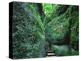 Stairs to the Mary's gorge-Roland Gerth-Stretched Canvas