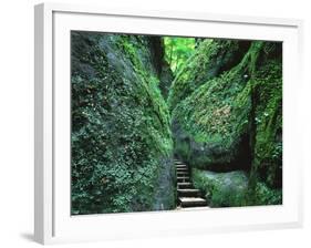 Stairs to the Mary's gorge-Roland Gerth-Framed Photographic Print