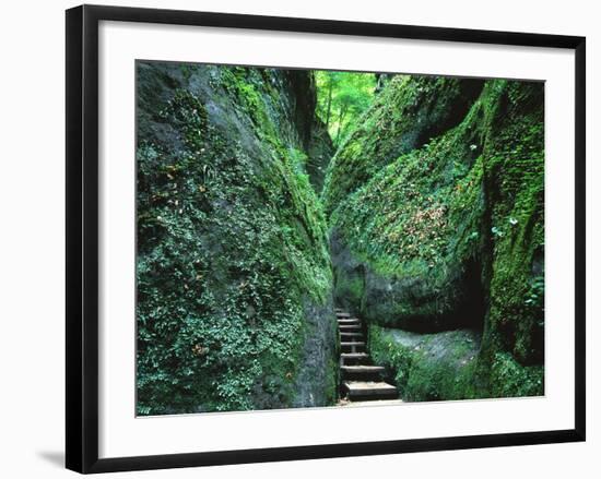 Stairs to the Mary's gorge-Roland Gerth-Framed Photographic Print