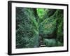 Stairs to the Mary's gorge-Roland Gerth-Framed Photographic Print