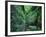 Stairs to the Mary's gorge-Roland Gerth-Framed Photographic Print