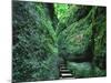 Stairs to the Mary's gorge-Roland Gerth-Mounted Photographic Print
