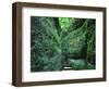 Stairs to the Mary's gorge-Roland Gerth-Framed Photographic Print