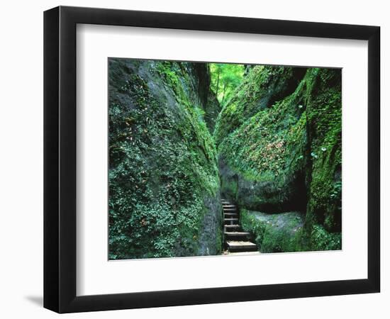 Stairs to the Mary's gorge-Roland Gerth-Framed Photographic Print