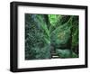 Stairs to the Mary's gorge-Roland Gerth-Framed Photographic Print