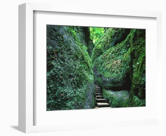 Stairs to the Mary's gorge-Roland Gerth-Framed Photographic Print