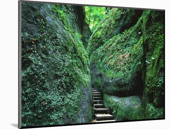 Stairs to the Mary's gorge-Roland Gerth-Mounted Photographic Print