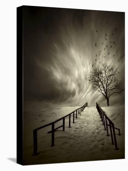 Stairs to the Sanctuary-David Senechal Photographie-Stretched Canvas