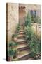 Stairway in Provence-Roger Duvall-Stretched Canvas