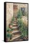 Stairway in Provence-Roger Duvall-Framed Stretched Canvas