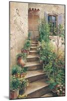 Stairway in Provence-Roger Duvall-Mounted Art Print
