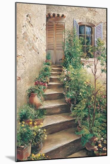 Stairway in Provence-Roger Duvall-Mounted Art Print