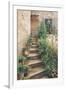 Stairway in Provence-Roger Duvall-Framed Premium Giclee Print